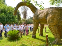 Circuito Educativo - Dinossauros Sesi 