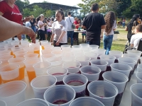 Festa das Famílias